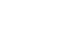 Palmetto Coast Realty